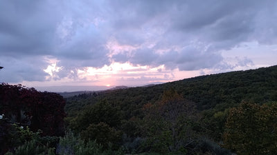 Exklusiver Pizzaofen-Bau-Workshop in Italien 16. - 21.04.2026