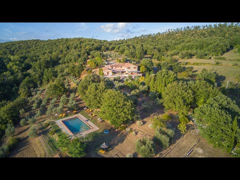 Exklusiver Pizzaofen-Bau-Workshop in Italien 16. - 21.04.2026